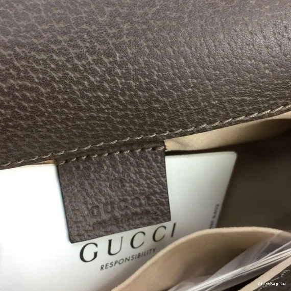 First bag ru Ophidia Gucci Bag Shoulder GG Marmont 0725
